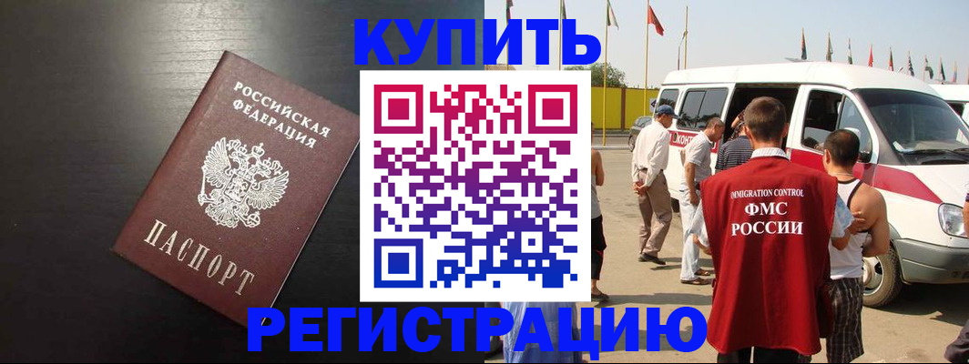 прописка 2025 в Звенигово